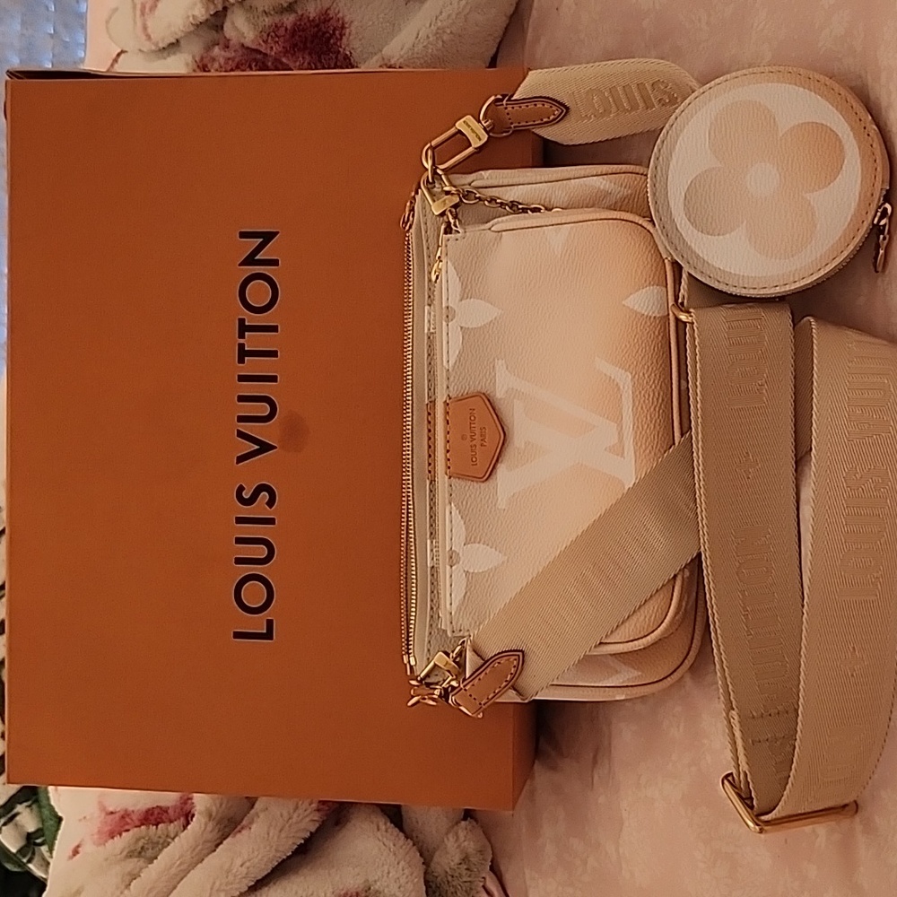 Louis Vuitton Multi By the pool pochette accessories brume